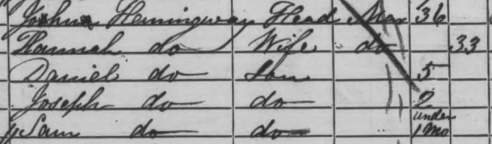 A clipping from an 1861 census enumerator book showing a Hannah Hemmingway